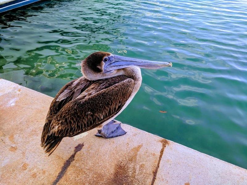 Bahia Principe & Golf Residences Tulum Ngoại thất bức ảnh