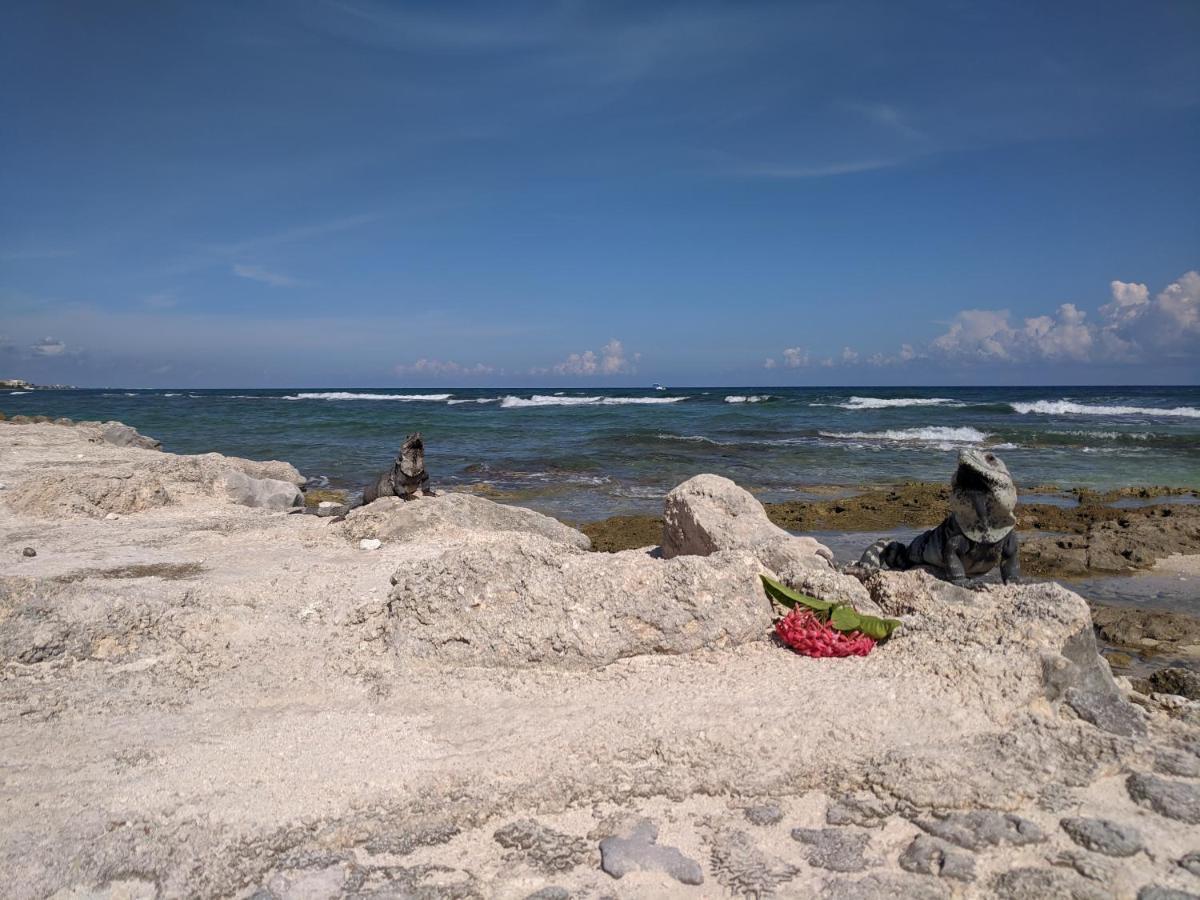 Bahia Principe & Golf Residences Tulum Ngoại thất bức ảnh